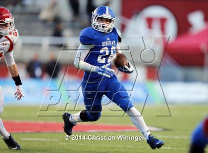 Thumbnail 3 in Bingham vs. American Fork (UHSAA 5A Final)  photogallery.