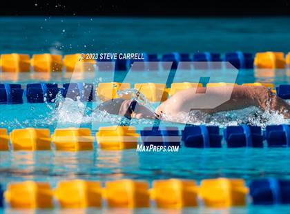 Thumbnail 3 in Anderson Swim Meet photogallery.