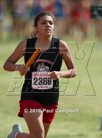 Thumbnail 1 in AIA Track & Field Championships (Girls Track Events Finals) photogallery.