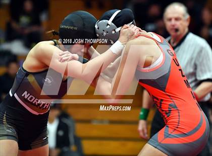 Thumbnail 2 in Ayala Girls Wrestling Tournament (Championship matches) photogallery.