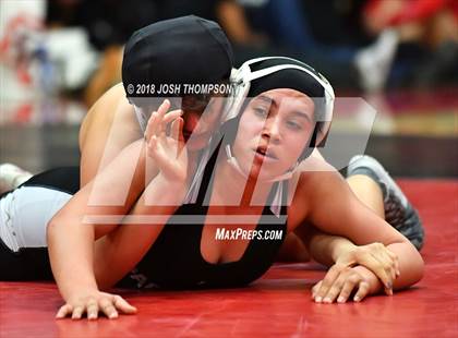 Thumbnail 3 in Ayala Girls Wrestling Tournament (Championship matches) photogallery.