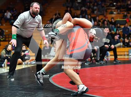 Thumbnail 2 in Ayala Girls Wrestling Tournament (Championship matches) photogallery.