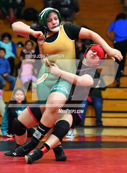 Thumbnail 2 in Ayala Girls Wrestling Tournament (Championship matches) photogallery.