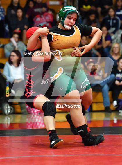 Thumbnail 2 in Ayala Girls Wrestling Tournament (Championship matches) photogallery.