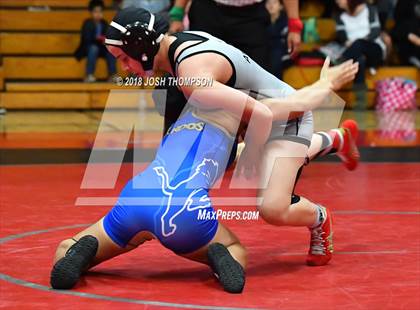 Thumbnail 2 in Ayala Girls Wrestling Tournament (Championship matches) photogallery.