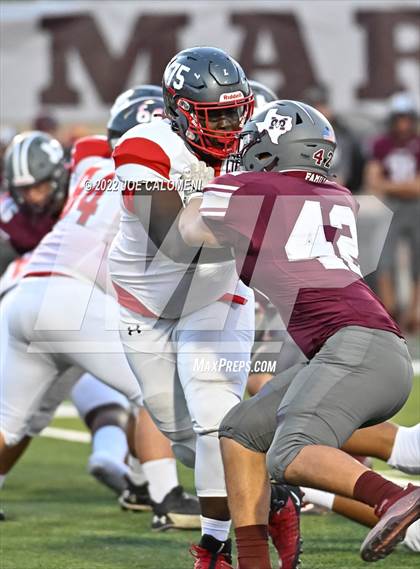 Thumbnail 2 in Lee vs Marshall photogallery.