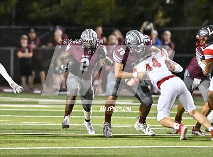 Thumbnail 2 in Lee vs Marshall photogallery.
