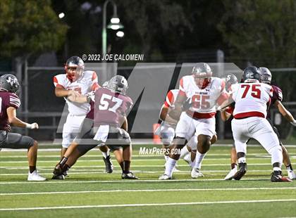 Thumbnail 3 in Lee vs Marshall photogallery.