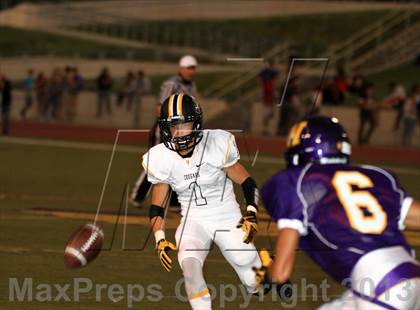 Thumbnail 1 in Ventura @ Righetti photogallery.