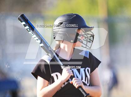 Thumbnail 1 in Havelock Softball (Extending the Season) photogallery.