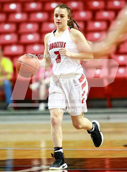 Thumbnail 1 in Bushland vs. Levelland (UIL 4A Regional Quarterfinal) photogallery.