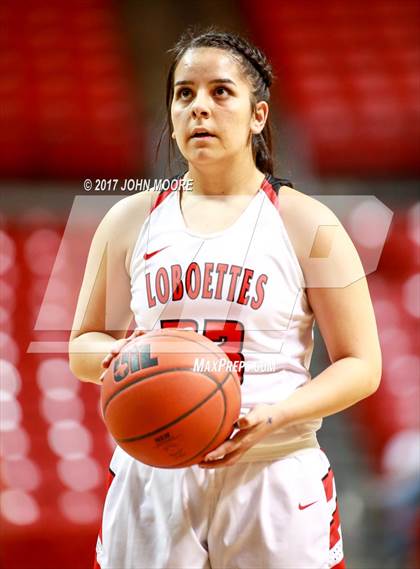 Thumbnail 1 in Bushland vs. Levelland (UIL 4A Regional Quarterfinal) photogallery.