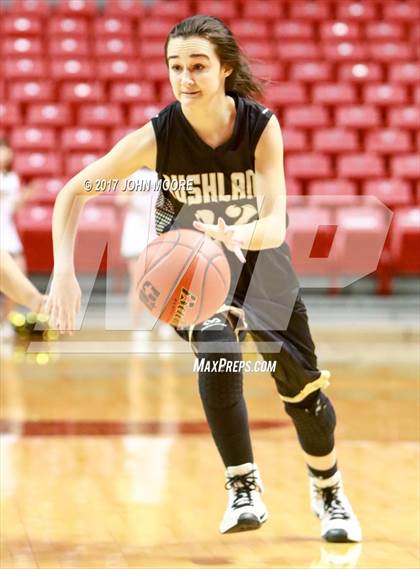 Thumbnail 1 in Bushland vs. Levelland (UIL 4A Regional Quarterfinal) photogallery.