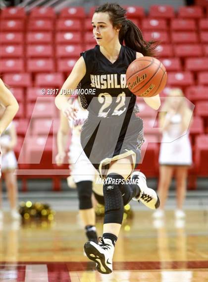 Thumbnail 3 in Bushland vs. Levelland (UIL 4A Regional Quarterfinal) photogallery.