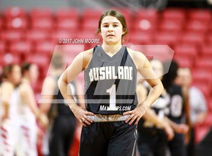 Thumbnail 1 in Bushland vs. Levelland (UIL 4A Regional Quarterfinal) photogallery.