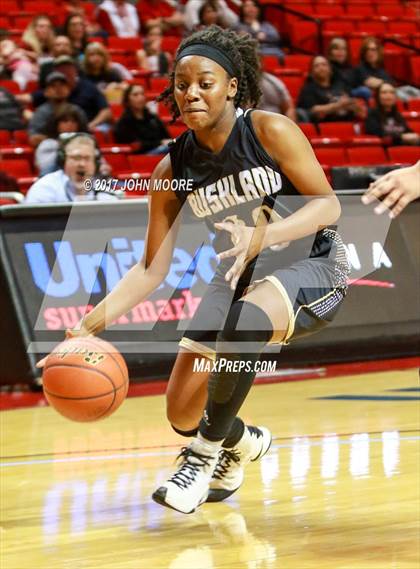 Thumbnail 2 in Bushland vs. Levelland (UIL 4A Regional Quarterfinal) photogallery.