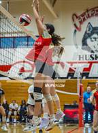 Photo from the gallery "Corona @ Centennial"