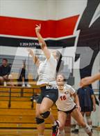 Photo from the gallery "Corona @ Centennial"