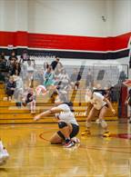 Photo from the gallery "Corona @ Centennial"