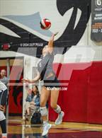 Photo from the gallery "Corona @ Centennial"