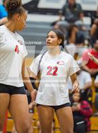 Photo from the gallery "Corona @ Centennial"