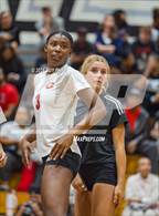 Photo from the gallery "Corona @ Centennial"