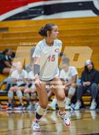 Photo from the gallery "Corona @ Centennial"