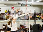 Photo from the gallery "Archbishop Mitty @ Saint Francis"