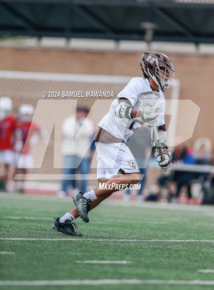 Thumbnail 1 in  Los Alamitos @ Crespi  photogallery.