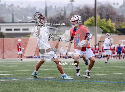 Thumbnail 2 in  Los Alamitos @ Crespi  photogallery.