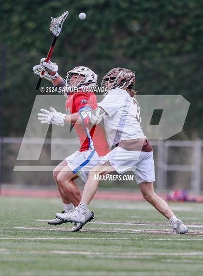 Thumbnail 3 in  Los Alamitos @ Crespi  photogallery.
