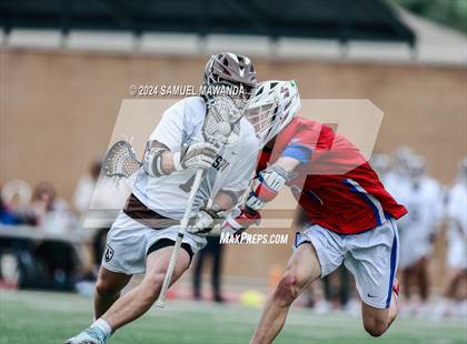 Thumbnail 1 in  Los Alamitos @ Crespi  photogallery.