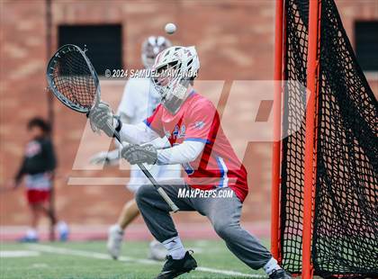 Thumbnail 1 in  Los Alamitos @ Crespi  photogallery.