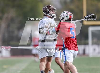 Thumbnail 1 in  Los Alamitos @ Crespi  photogallery.