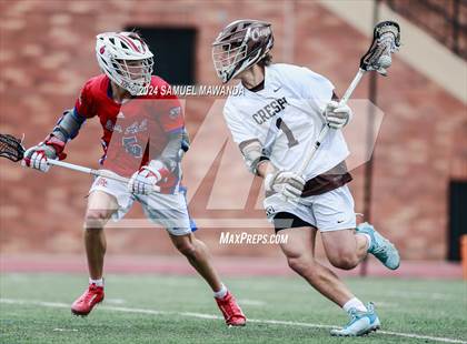 Thumbnail 1 in  Los Alamitos @ Crespi  photogallery.