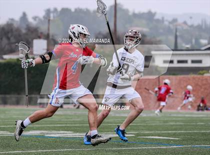 Thumbnail 3 in  Los Alamitos @ Crespi  photogallery.