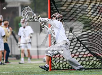 Thumbnail 1 in  Los Alamitos @ Crespi  photogallery.