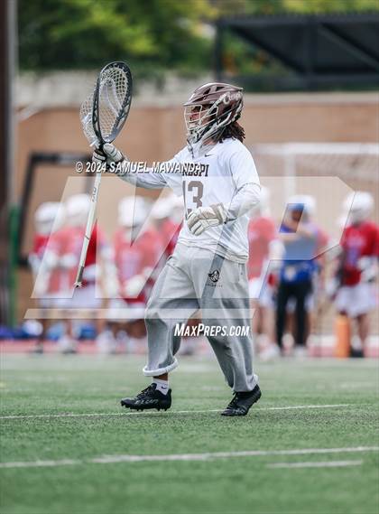 Thumbnail 1 in  Los Alamitos @ Crespi  photogallery.