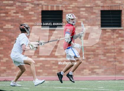 Thumbnail 2 in  Los Alamitos @ Crespi  photogallery.