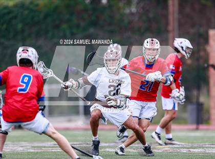 Thumbnail 1 in  Los Alamitos @ Crespi  photogallery.