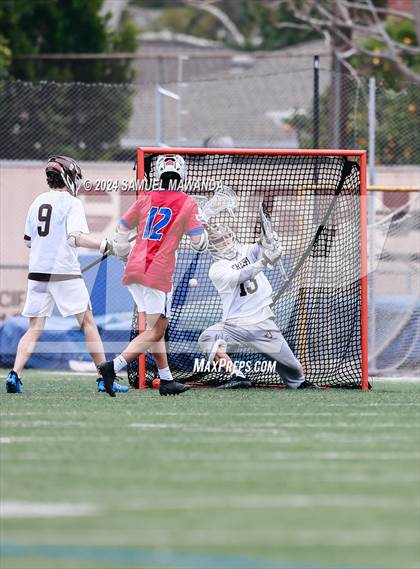 Thumbnail 3 in  Los Alamitos @ Crespi  photogallery.