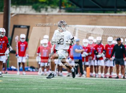 Thumbnail 2 in  Los Alamitos @ Crespi  photogallery.