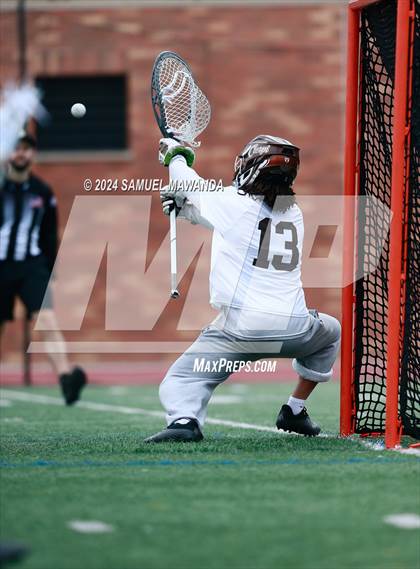 Thumbnail 1 in  Los Alamitos @ Crespi  photogallery.