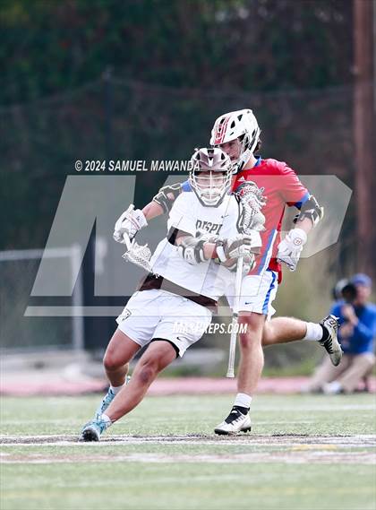 Thumbnail 3 in  Los Alamitos @ Crespi  photogallery.
