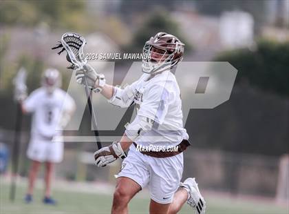 Thumbnail 1 in  Los Alamitos @ Crespi  photogallery.