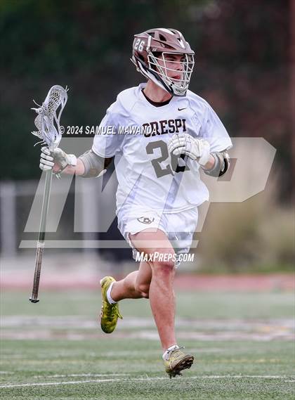 Thumbnail 3 in  Los Alamitos @ Crespi  photogallery.