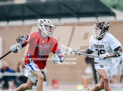 Thumbnail 3 in  Los Alamitos @ Crespi  photogallery.