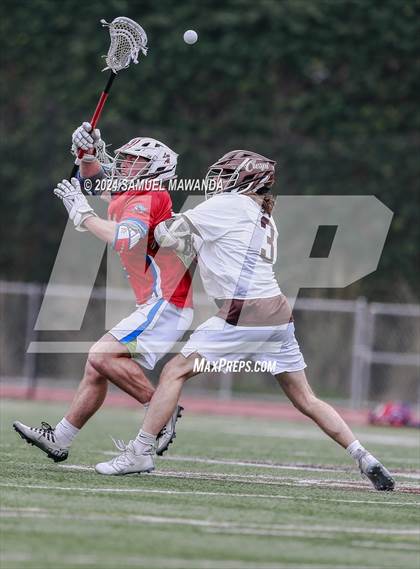 Thumbnail 1 in  Los Alamitos @ Crespi  photogallery.