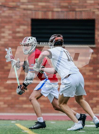 Thumbnail 3 in  Los Alamitos @ Crespi  photogallery.