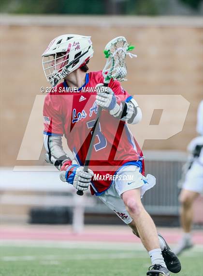 Thumbnail 1 in  Los Alamitos @ Crespi  photogallery.